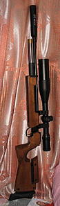 click for enlarge 234 X 800  50.1 Kb picture