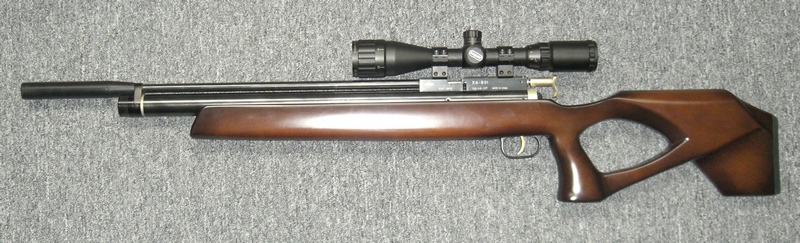 800 x 243