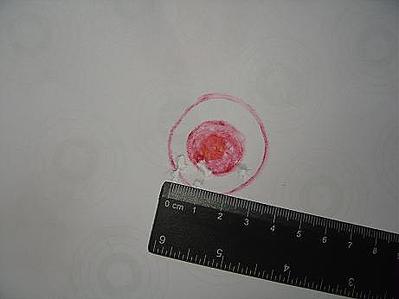 click for enlarge 461 X 346  14.9 Kb picture
