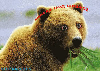 click for enlarge 450 X 323  54.6 Kb picture