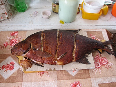 click for enlarge 800 X 600 264.2 Kb picture