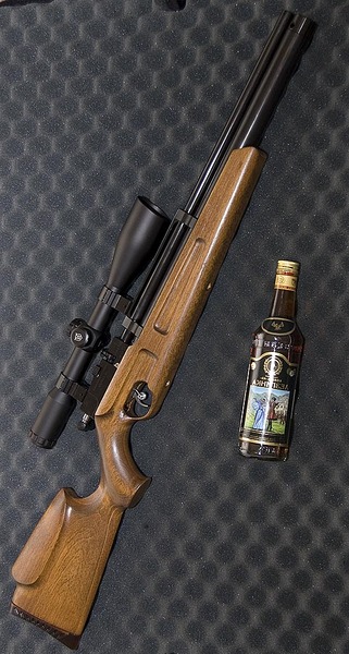 click for enlarge 548 X 1024 170.1 Kb picture