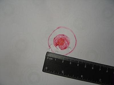 click for enlarge 461 X 346  14.9 Kb picture
