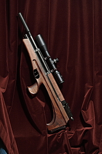 click for enlarge 460 X 690 273.1 Kb picture