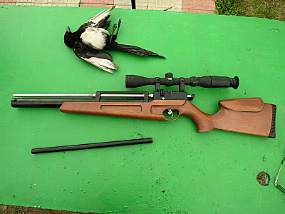 400 x 300