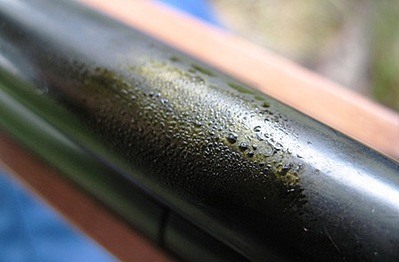 click for enlarge 448 X 294  31.6 Kb picture