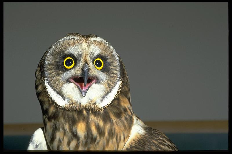 click for enlarge 1536 X 1024 123.6 Kb picture
