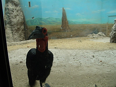 click for enlarge 800 X 600 121.5 Kb picture