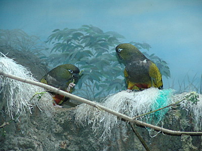 click for enlarge 800 X 600 127.7 Kb picture