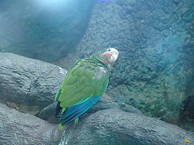 click for enlarge 800 X 600 130.4 Kb picture