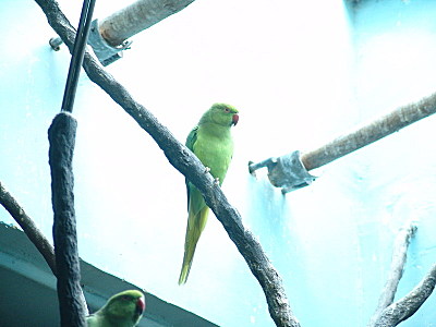 click for enlarge 800 X 600  88.2 Kb picture