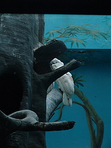 click for enlarge 600 X 800 109.3 Kb picture