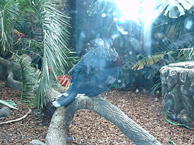 click for enlarge 800 X 600 191.4 Kb picture