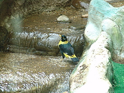 click for enlarge 800 X 600 183.8 Kb picture