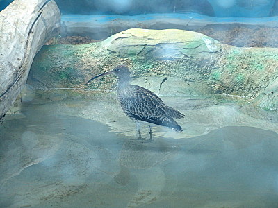 click for enlarge 800 X 600 133.1 Kb picture