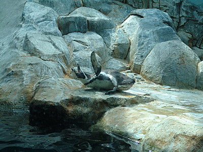 click for enlarge 800 X 600 183.0 Kb picture