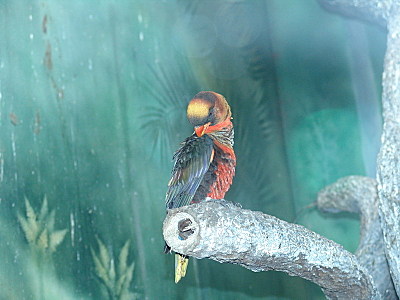 click for enlarge 800 X 600 107.7 Kb picture