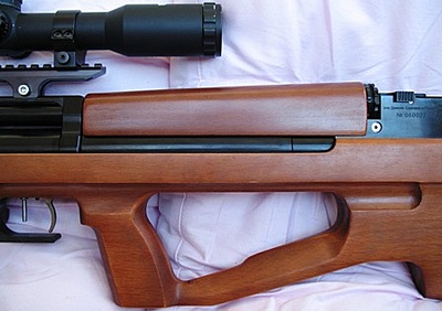 click for enlarge 448 X 316  39.9 Kb picture