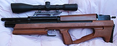 click for enlarge 448 X 176  26.4 Kb picture