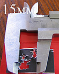 click for enlarge 300 X 375  79.3 Kb picture