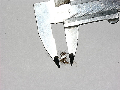 click for enlarge 800 X 600 32,9 Kb picture
