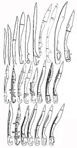 click for enlarge 416 X 800  78.6 Kb picture