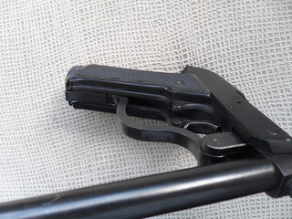 click for enlarge 1024 X 768 287,3 Kb picture