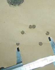 click for enlarge 315 X 399 38.5 Kb picture
