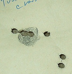 click for enlarge 248 X 256 21.1 Kb picture