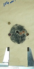 click for enlarge 205 X 408 31.6 Kb picture
