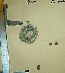 click for enlarge 449 X 502 71.9 Kb picture