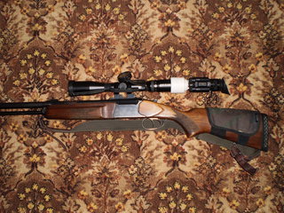 click for enlarge 1920 X 1440 805,3 Kb picture