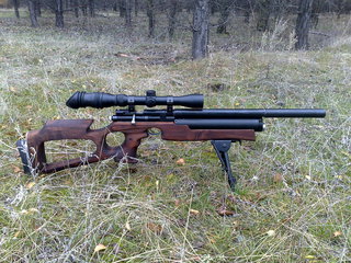 click for enlarge 1920 X 1440 638,5 Kb picture