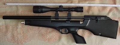 click for enlarge 1000 X 380 239.3 Kb picture