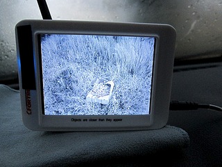 �������, ��� �� ��������� �������� �� 592 X 444 85.8 Kb