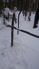 click for enlarge 1920 X 3413 363.2 Kb