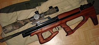 click for enlarge 448 X 203 48,1 Kb picture