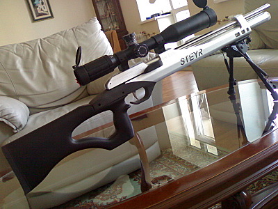 click for enlarge 800 X 600 166,4 Kb picture
