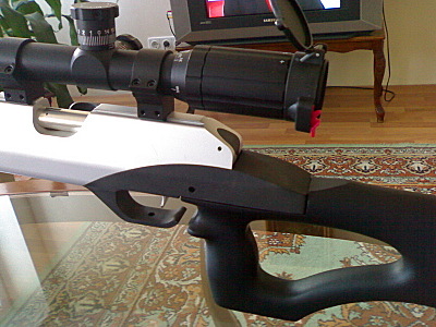click for enlarge 800 X 600 164,6 Kb picture