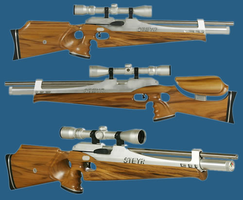 500 x 412