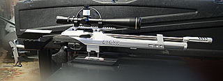 click for enlarge 771 X 280 65,9 Kb picture