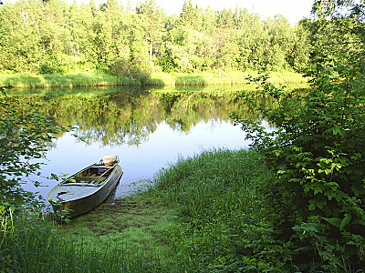 click for 
enlarge 800 X 600 227,8 Kb picture