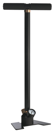 175 x 431