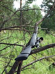 click for enlarge 640 X 853 199,9 Kb picture