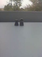 click for enlarge 1200 X 1600 180.7 Kb picture