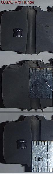 click for enlarge 498 X 1627 74.7 Kb picture
