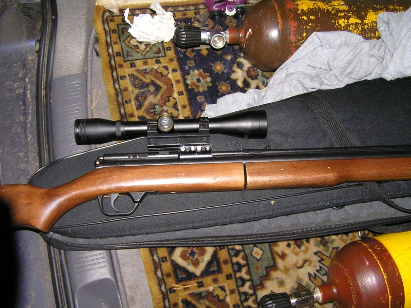 800 x 600