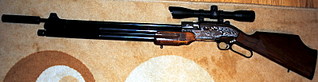 click for enlarge 1600 X 410 190.1 Kb picture
