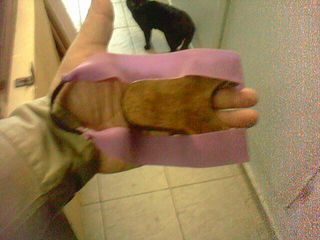 click for enlarge 640 X 480 43,2 Kb picture