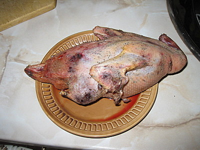 click for enlarge 800 X 600 132,2 Kb picture